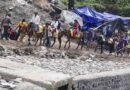 केदारनाथ यात्रा मार्ग पर दो दिन में 14 घोड़े-खच्चरों की संदिग्ध मौत, संचालन पर 24 घंटे के लिए रोक लगाई