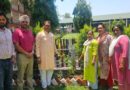 विश्व पर्यावरण दिवस पर ब्रह्मपुरी वार्ड 74 सतीश कश्यप ने सूर्य मंदिर छठ पार्क में अध्यक्ष विजय महतो एवं कार्यकर्ताओं के साथ किया वृक्षारोपण 