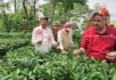 कृषि मंत्री गणेश जोशी ने असम के हाथीकुली चाय बागान का किया अवलोकन