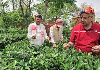 कृषि मंत्री गणेश जोशी ने असम के हाथीकुली चाय बागान का किया अवलोकन