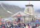 चारधाम यात्रा मार्गों पर निर्धारित संख्या में होगा पशुओं का संचालन, शासन ने एसओपी की जारी 