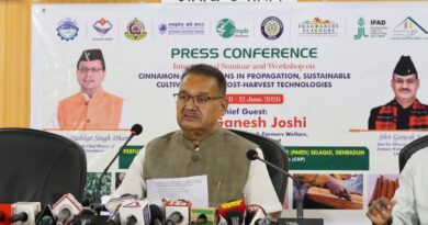 दालचीनी की खेती और प्रसंस्करण पर अंतरराष्ट्रीय मंथन