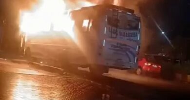 यमुना एक्सप्रेसवे पर चलती बस में लगी भीषण आग, 9 यात्रियों की मौत
